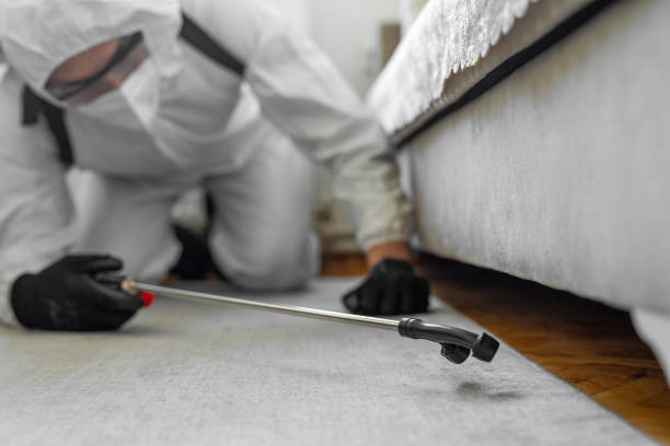 Professional Termite Control technician working in Hudson, NY